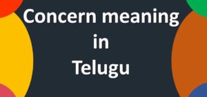 Concern meaning in Telugu