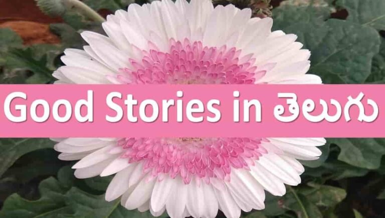 Good stories in Telugu Language
