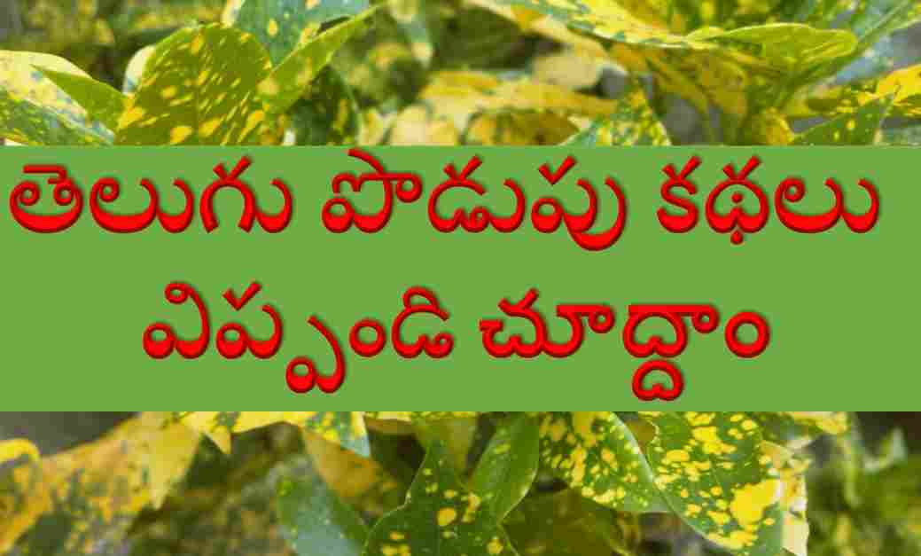 telugu-podupu-kathalu-with-answers-telugu-riddles-with-answers