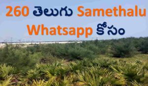 Telugu Samethalu Whatsapp