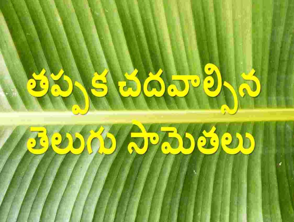 telugu-samethalu-with-meaning