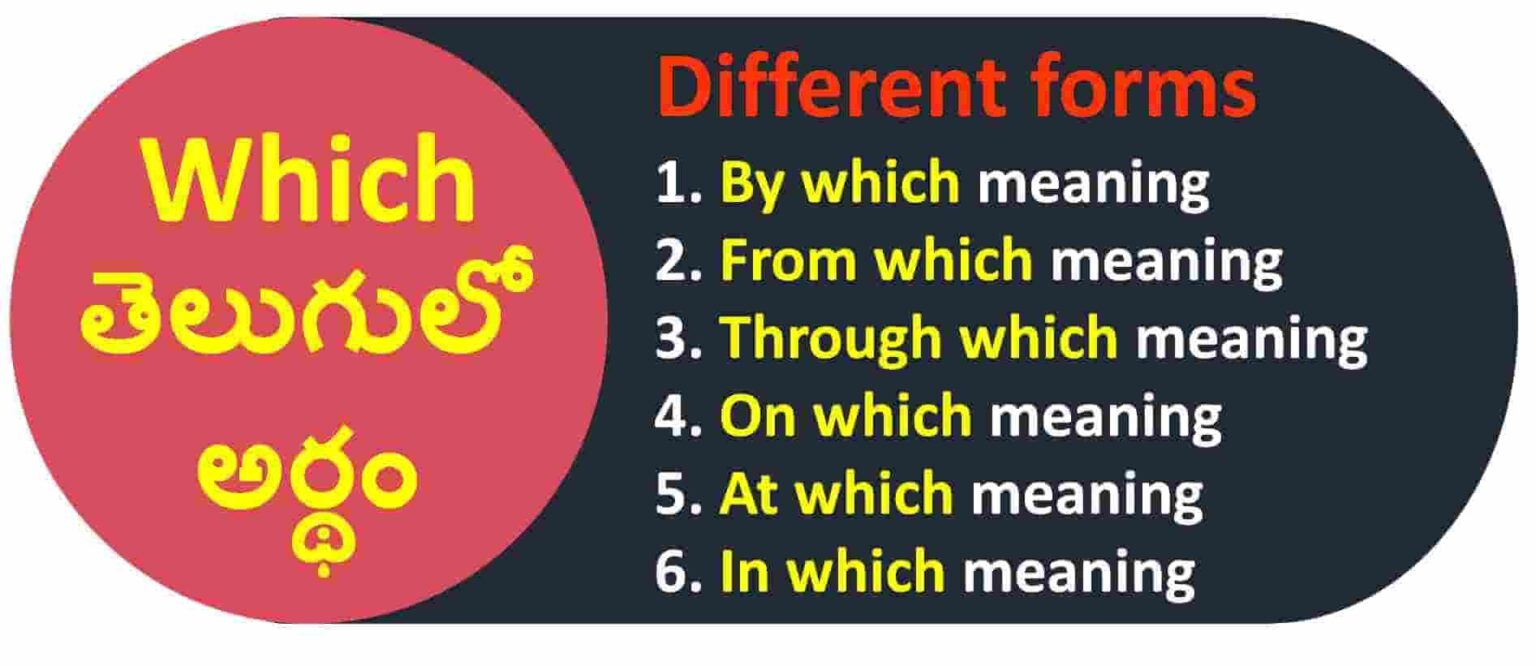 Which Meaning In Telugu 