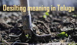 Desilting meaning in telugu