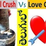 crush vs love crush