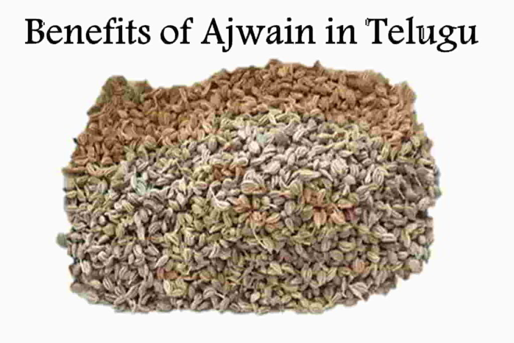 Ajwain in Telugu