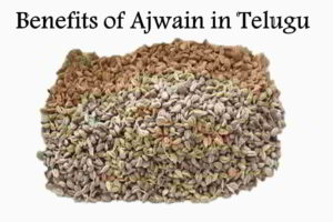 Ajwain in Telugu