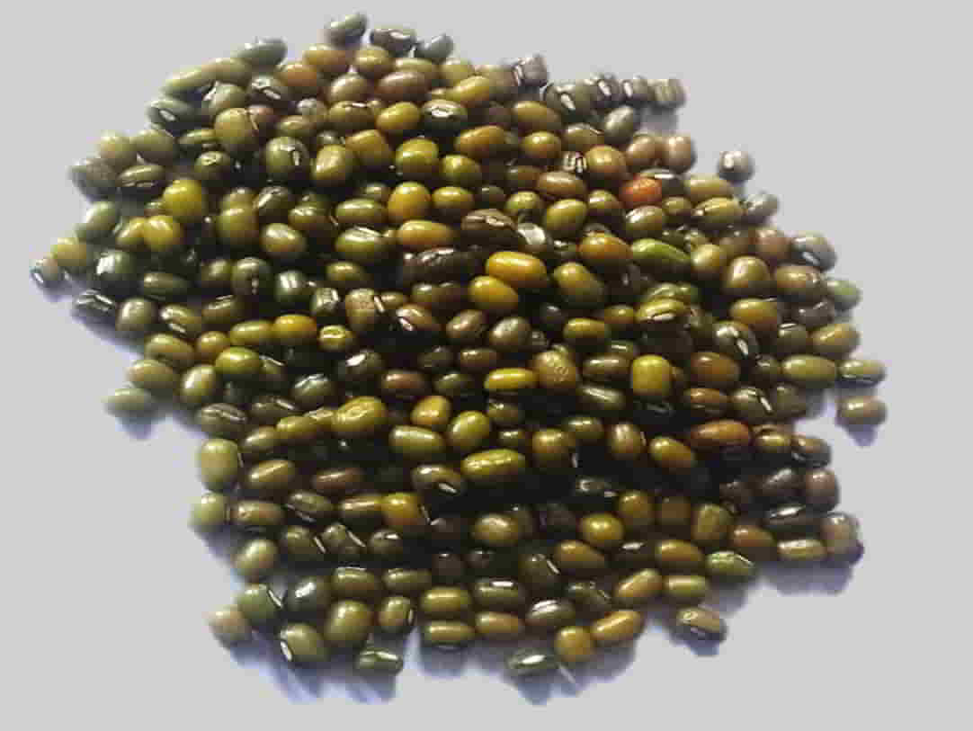 Green Gram Dal Meaning In Telugu