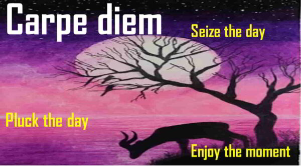 Carpe diem meaning in Marathi