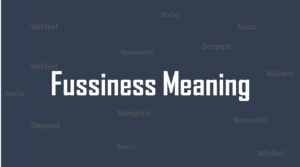 Fussiness meaning in Tamil