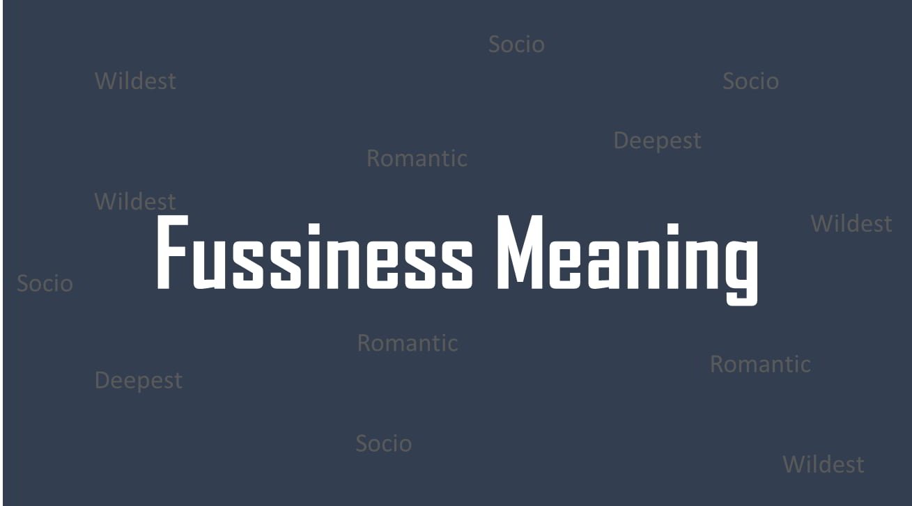 Fussiness meaning in Tamil