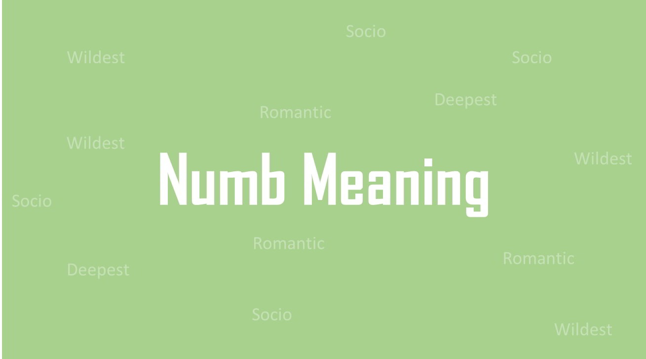 numb-meaning-in-telugu-sentence-examples