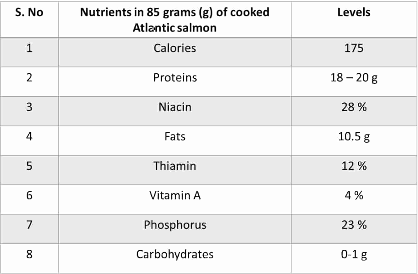 Salmon Fish in Telugu (తెలుగులో) Types, Uses/Benefits, Facts & Price/Cost
