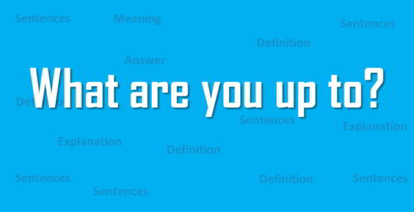 What Are You Up To Meaning In Hindi Definition Sentences Synonyms