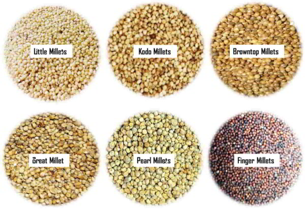 How many and what are the different types of Millets in Kannada? 