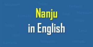 Nanju meaning in English