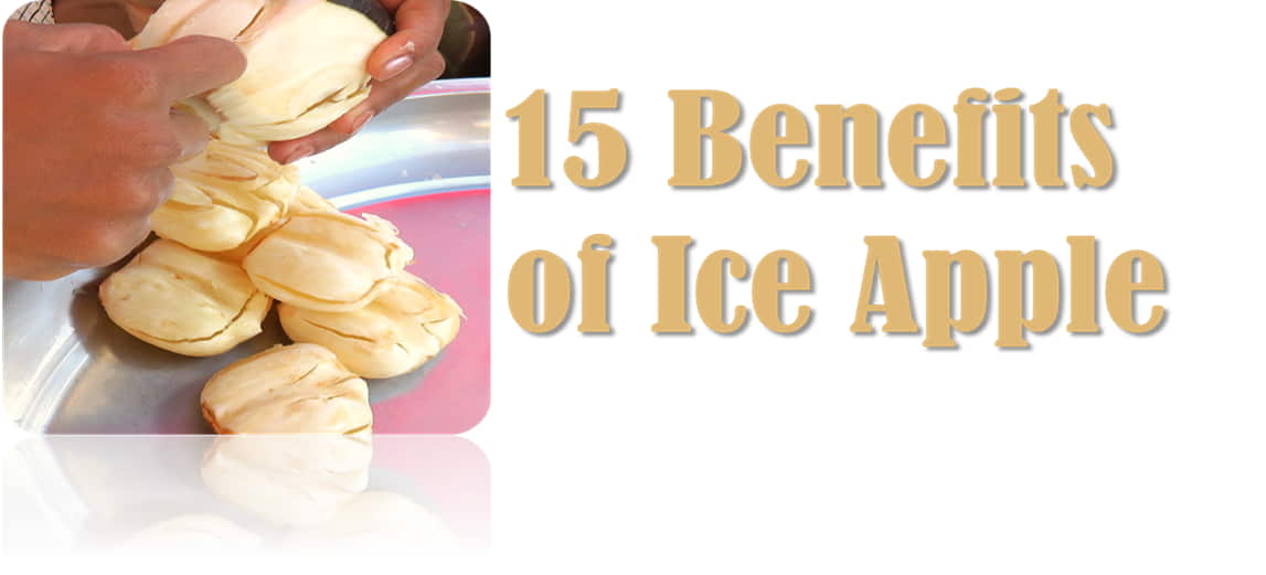 Ice apple uses in telugu