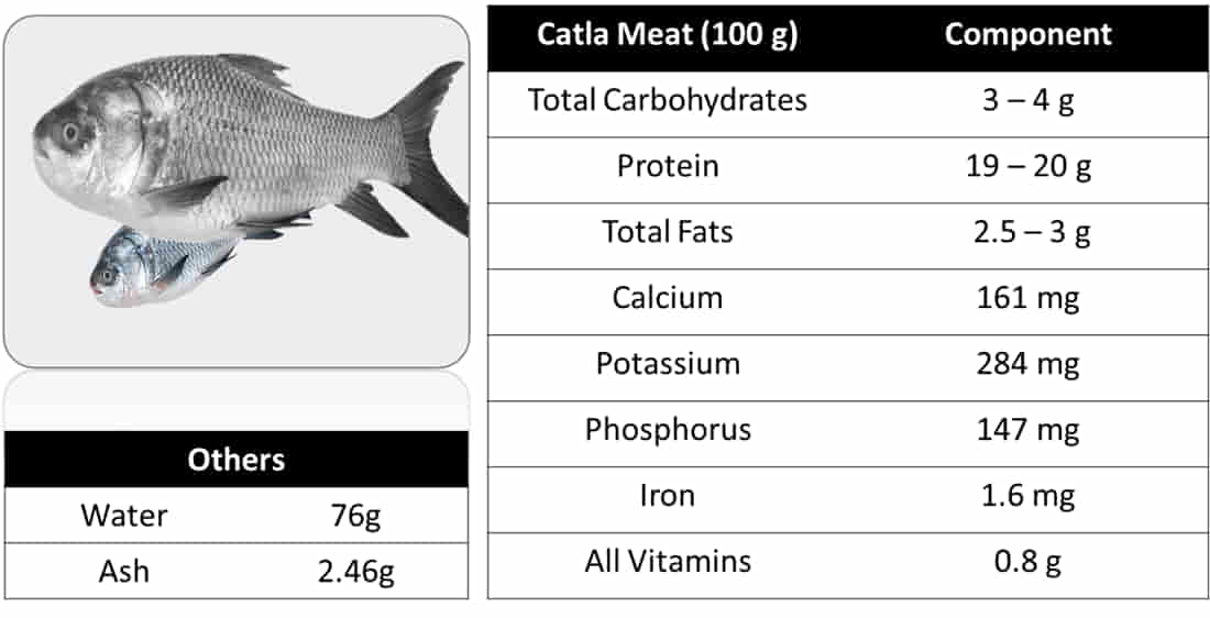 Nutritional value of Katla fish for good health