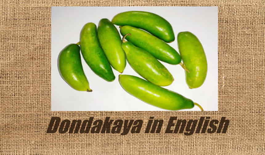 Dondakaya In English Other Names Benefits Facts Curries Farming