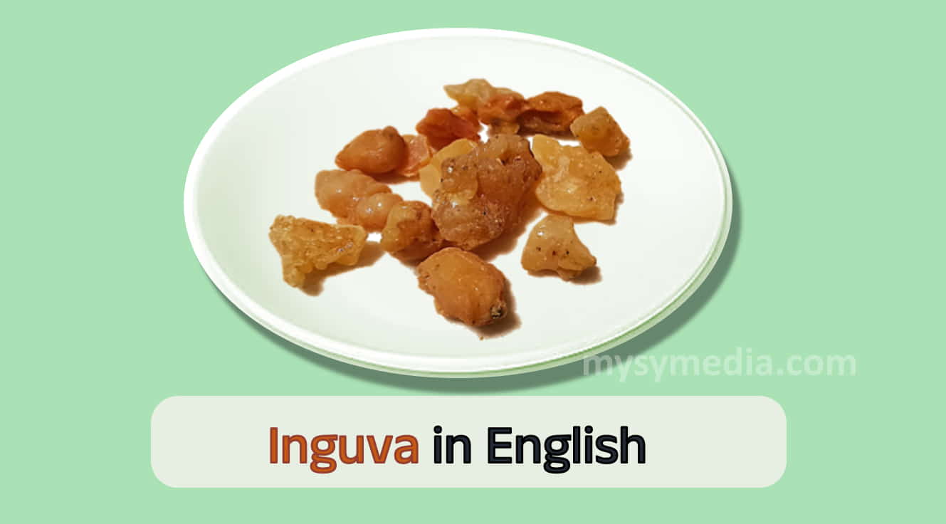Inguva english name