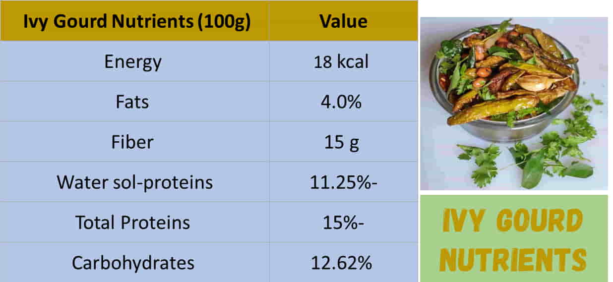 Ivy Gourd Nutritional Value per 100 grams.
