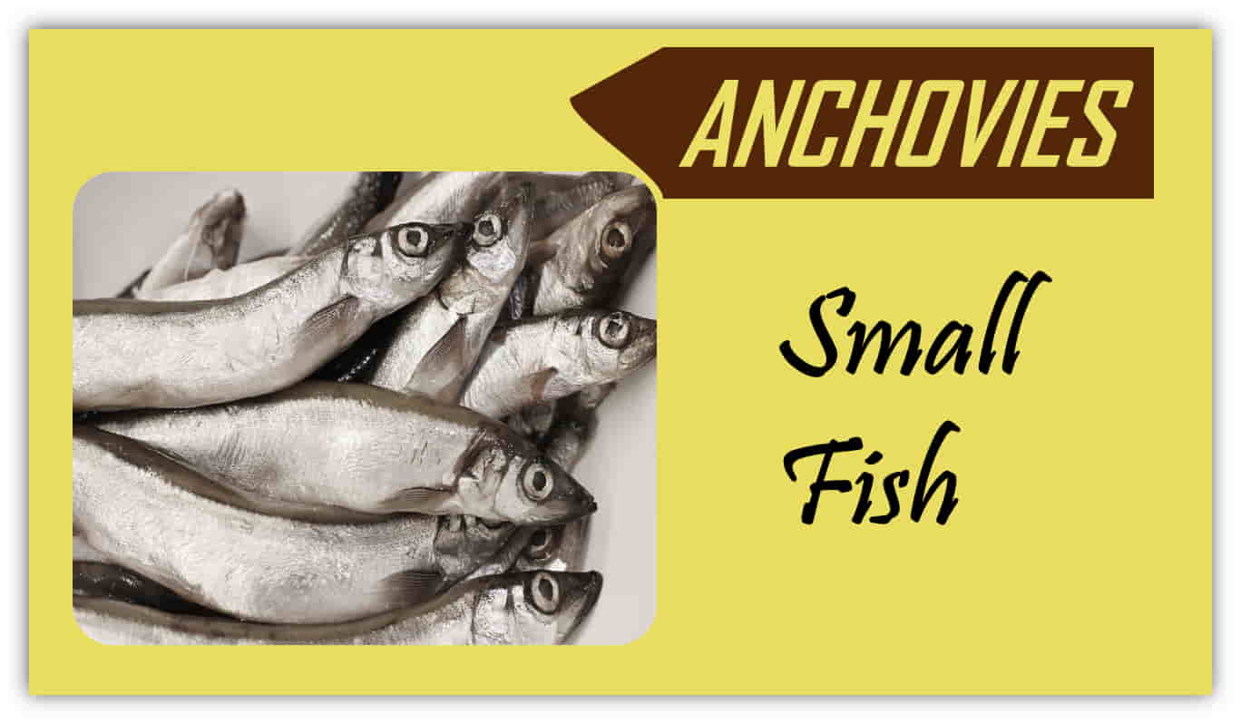 anchovies telugu name