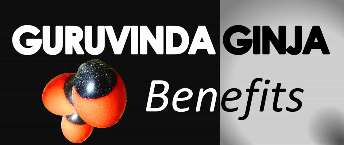 gurivinda seed benefits in telugu